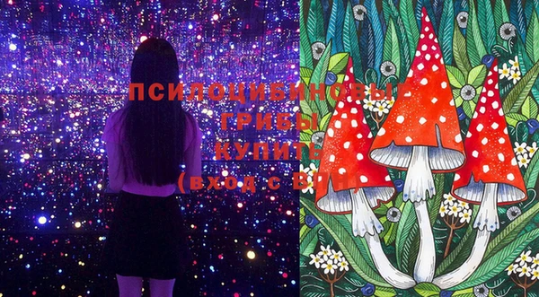 герыч Гусь-Хрустальный