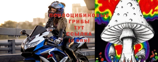 герыч Гусь-Хрустальный