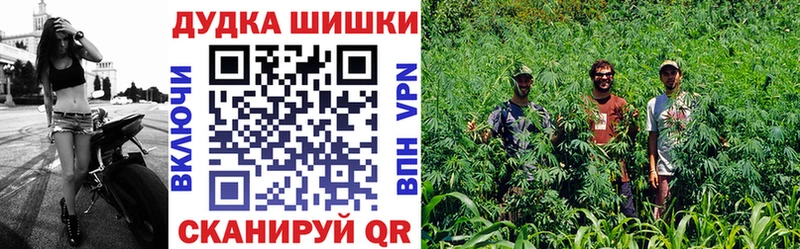Шишки марихуана планчик  Купить закладки  Иннополис 